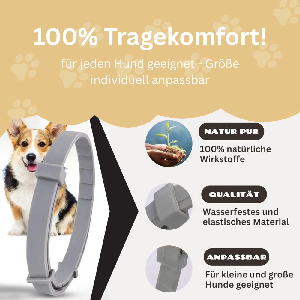 Antizecken Halsband - 8 Monate Schutz ohne Chemie