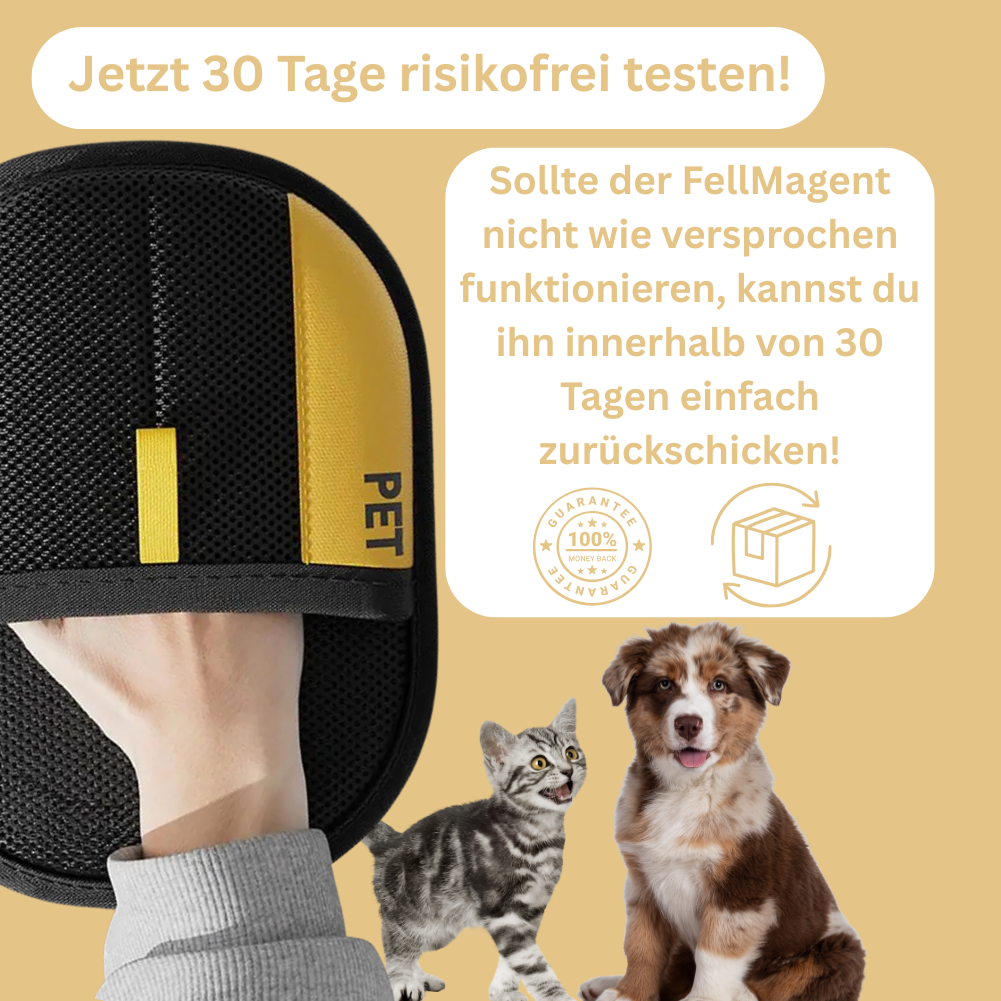 FellMagnet 🧲 - der Bestseller