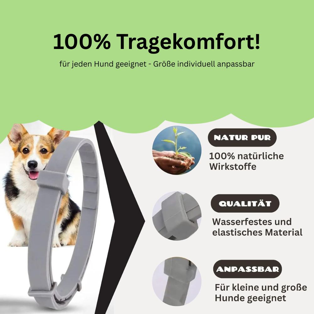 Antizecken Halsband - bis zu 8 Monate Schutz ohne Chemie