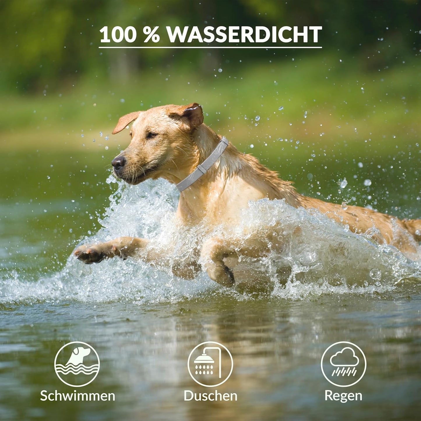 Antizecken Halsband - bis zu 8 Monate Schutz ohne Chemie