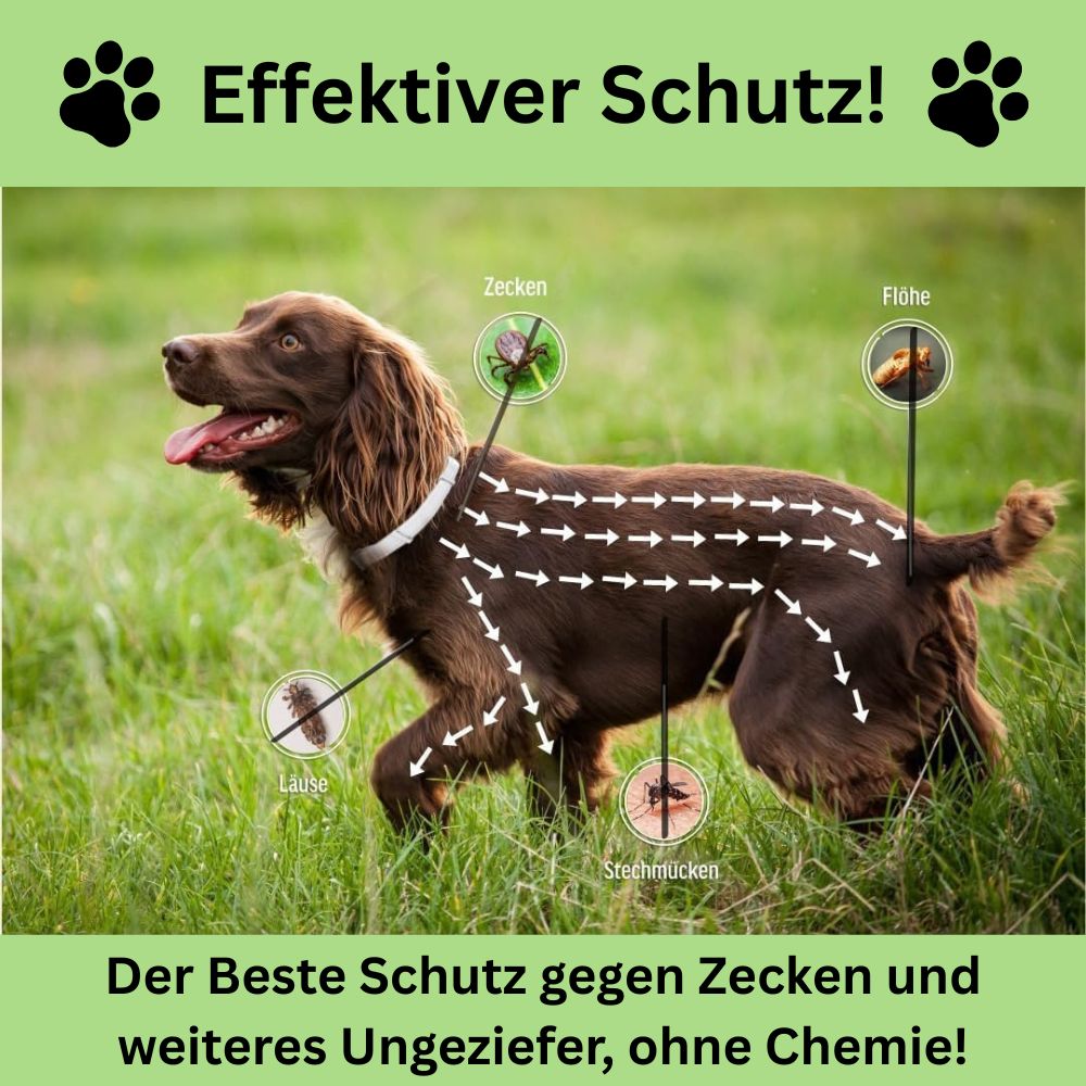 Antizecken Halsband - bis zu 8 Monate Schutz ohne Chemie