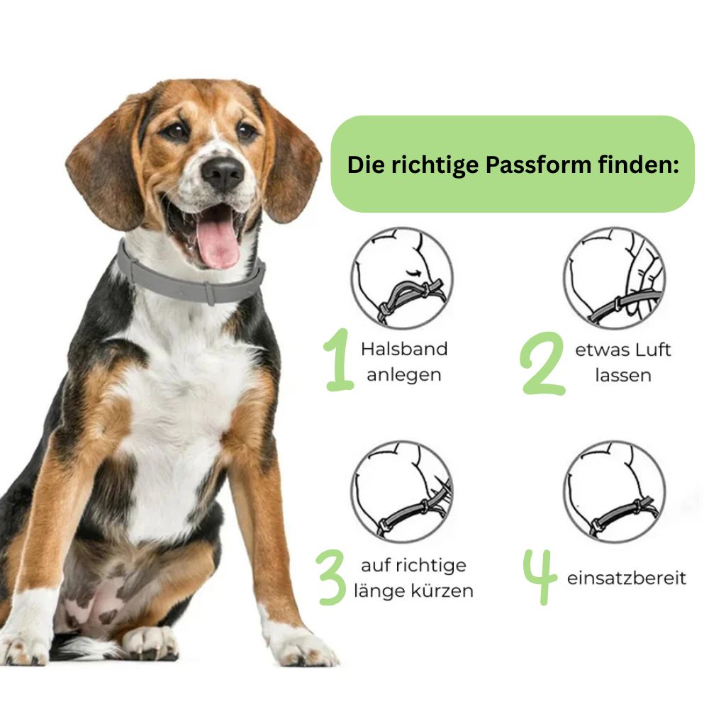Antizecken Halsband - bis zu 8 Monate Schutz ohne Chemie