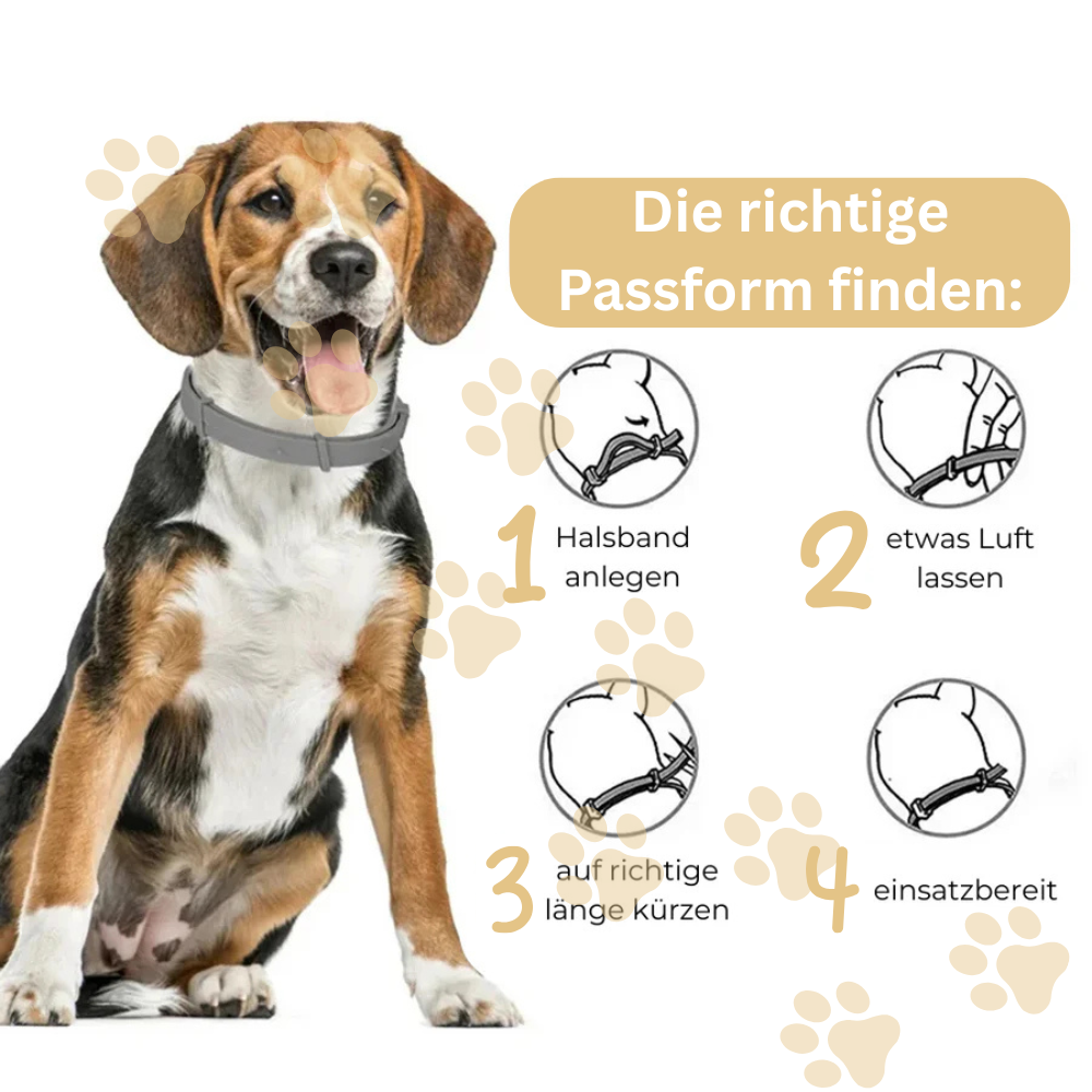 Antizecken Halsband - 8 Monate Schutz ohne Chemie