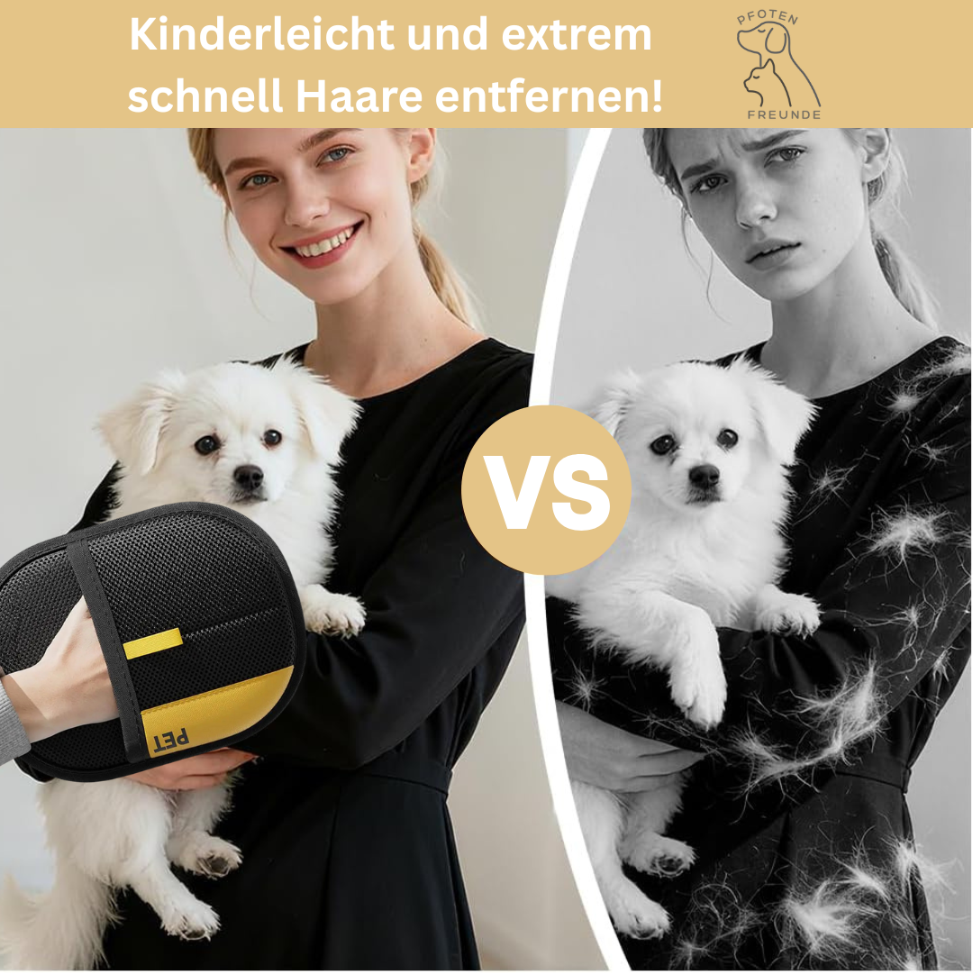 FellMagnet 🧲 - der Bestseller