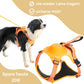 SmartLeash - die smarte Hundeleine