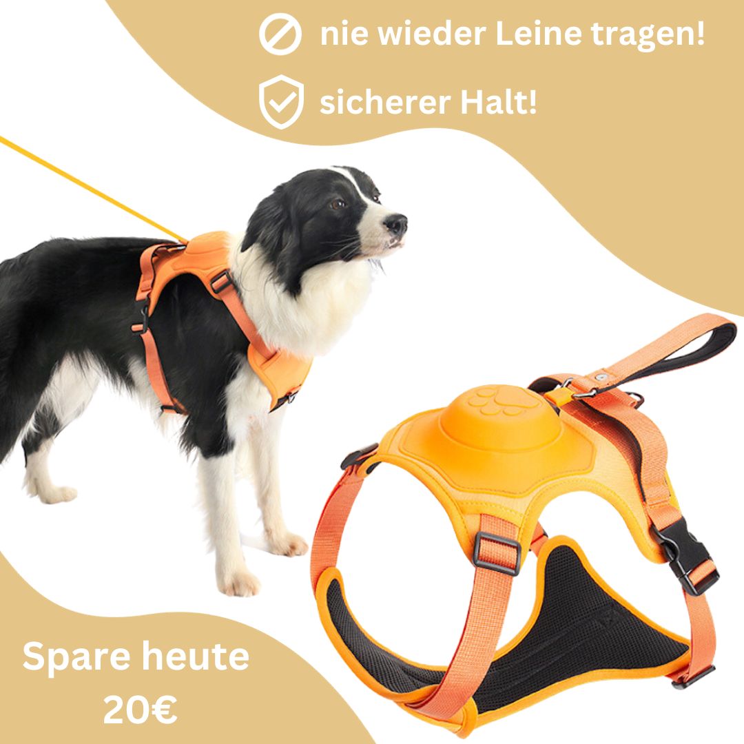 SmartLeash - die smarte Hundeleine