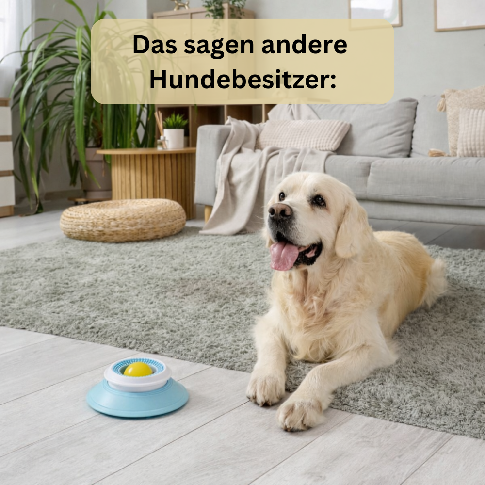 LickBowl - Beruhigt deinen Hund sofort