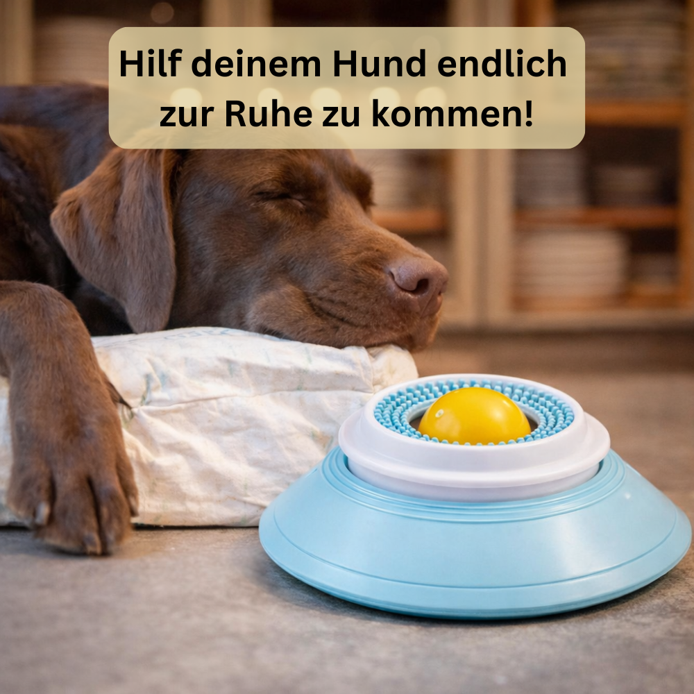 LickBowl - Beruhigt deinen Hund sofort