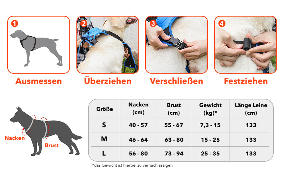 SmartLeash - die smarte Hundeleine