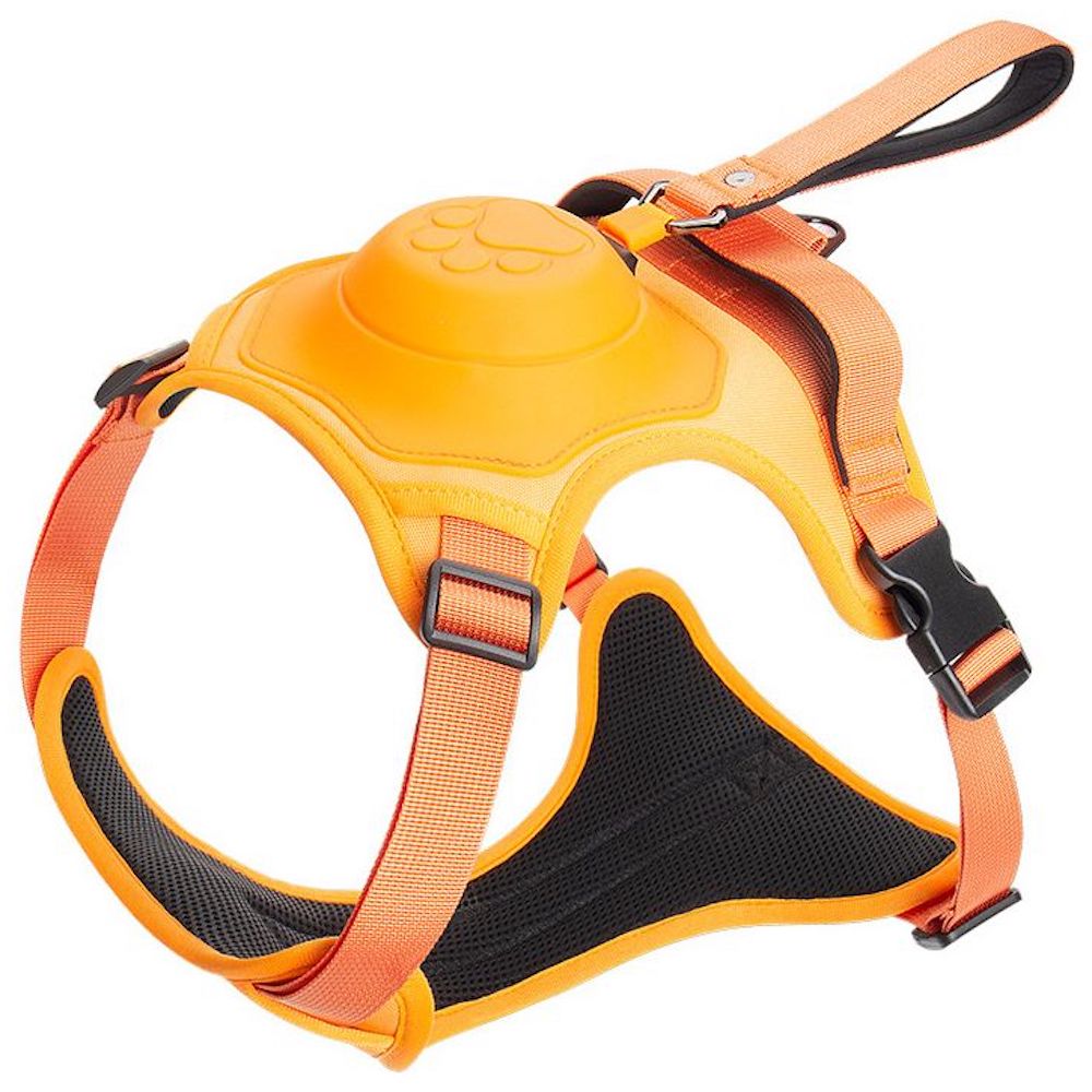 SmartLeash - die smarte Hundeleine