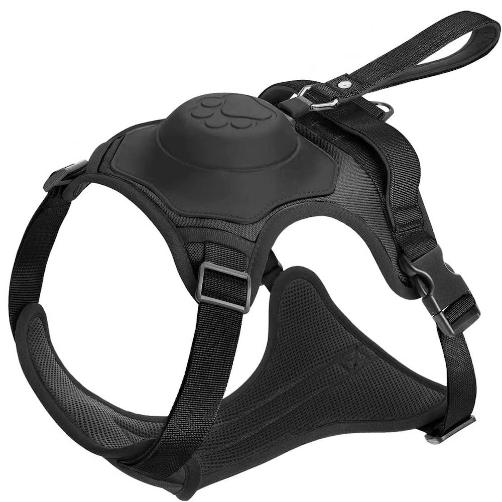 SmartLeash - die smarte Hundeleine