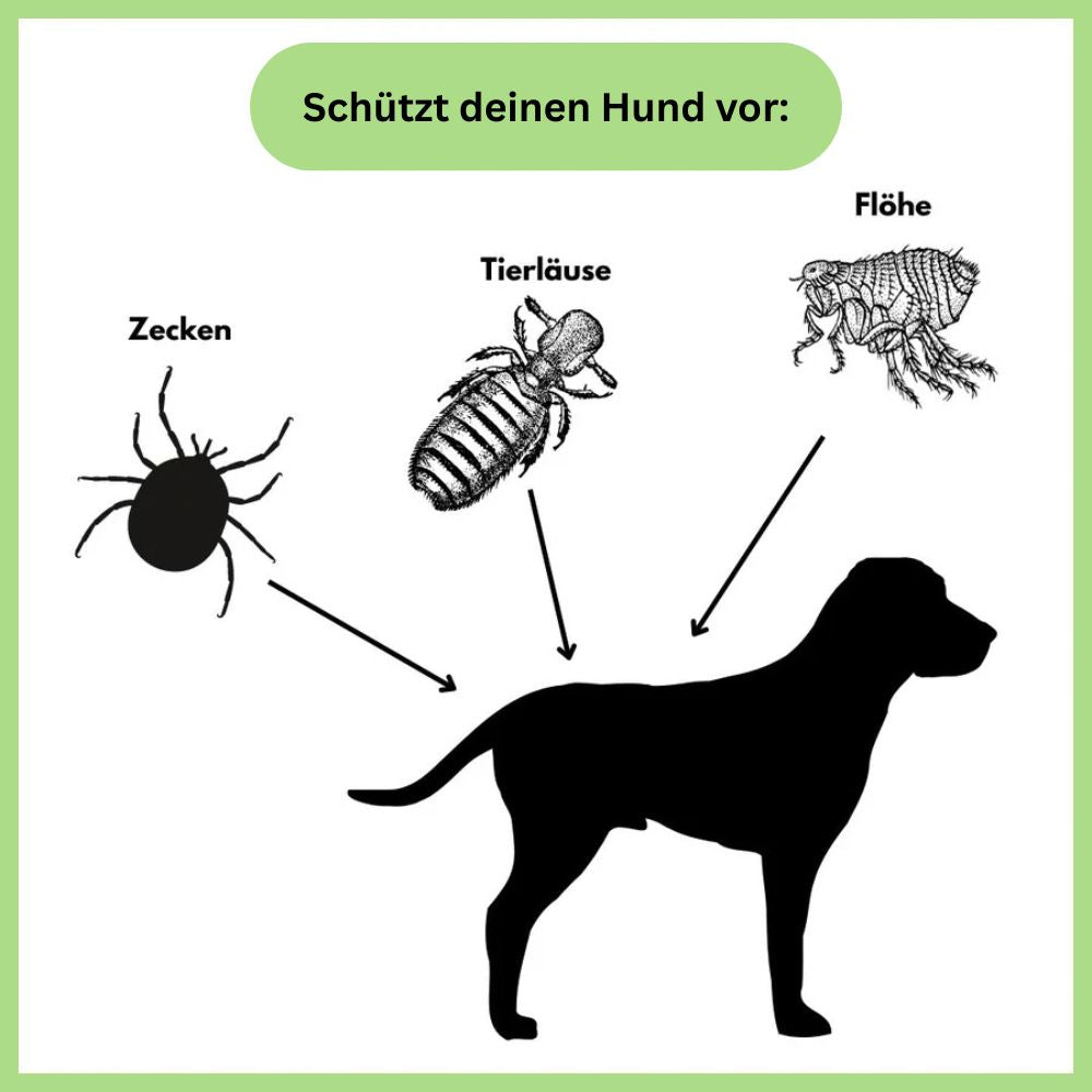Antizecken Halsband - bis zu 8 Monate Schutz ohne Chemie