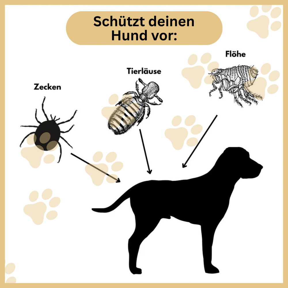 Antizecken Halsband - 8 Monate Schutz ohne Chemie