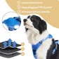 SmartLeash - die smarte Hundeleine