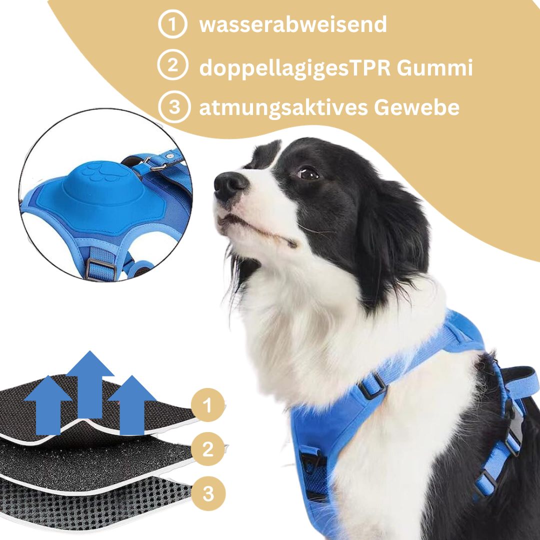 SmartLeash - die smarte Hundeleine