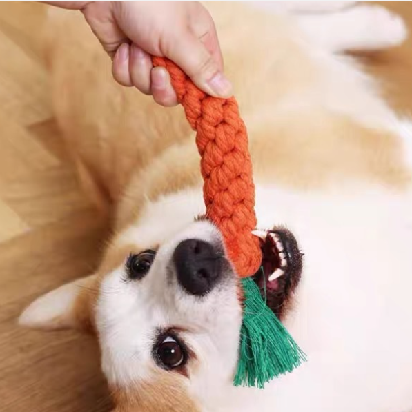 Karotten Hundespielzeug (Bio Baumwolle)