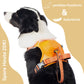 SmartLeash - die smarte Hundeleine
