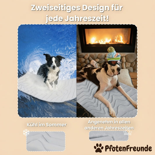 PfotenEis - Kühlmatte