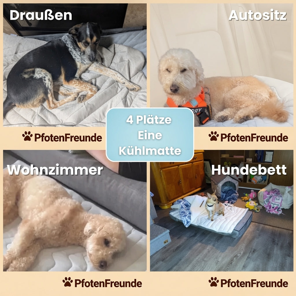 Coole Pfoten - Hunde Kühlmatte